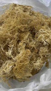 ✅ Rong Sụn Khô [KHÔNG MUỐI] NHFOOD Thượng Hạng Ít Mặn Nở Nhiều Bổ Dưỡng.