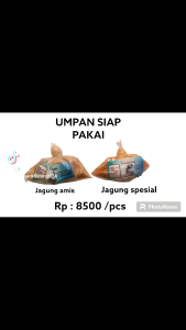 umpan jagung amis ikan mas