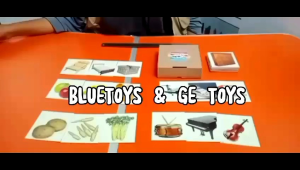 GAZ TOYS KARTU KLASIFIKASI BENDA 1 / MAINAN EDUKATIF ANAK