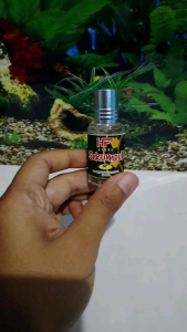 Parfum Sekumpul HF roll on 12ml non alcohol