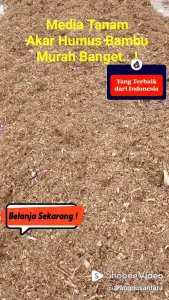 Akar Humus Bambu 1kg Lembut dan Kasar Media Tanam