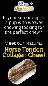 [HEY!BOBO] 🔥100% Horse Tendon Collagen Chew🔥 Natural Healthy Rich Collagen Dental Dog Chew Treats 顶级马筋洁牙丰富胶原蛋白咀嚼磨牙棒