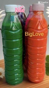 Màu tô tượng thạch cao(tô tranh gỗ )chai 500ml nhiều màu -BigLove