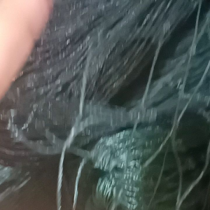 Jaring Ayam Diameter 35 cm & Ukuran 2m x 20m