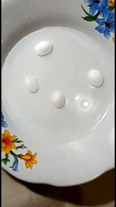 Natural batu ma-ni gajah bisa jalan diair cuka