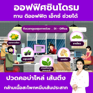 Di-Office X เหมาะสำหรับกระดูกและข้อ ของแท้ 100% มีคิวอาร์โค้ดตรวจสอบได้ ส่งตรงจาก ดีเน็ทเวิร์ค