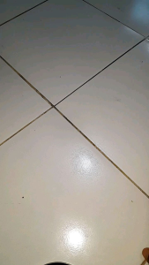 sandal jepit FILPPER tosca | sendal japit cewek | sandal jepit cewek premium kuat dan ringan