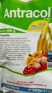Fungisida Antracol 250 gr plus Zinc Asli Bayer untuk cacar buah dan penyakit lain