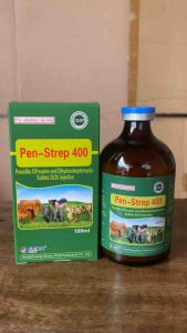 Penstrep 400 (100ml) farmasian dung dịch xử lý tiêu chảy viêm vú viêm tử cung tụ huyết trùng ở gia súc gia cầm