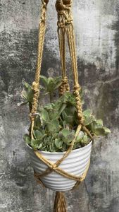 Macrame Plant Hangers: A Stylish Indoor Plant Holder