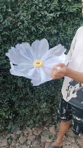 Kelopak Bunga Dekorasi Pelaminan: Bunga Sepatu & Kap Bunga Dekorasi