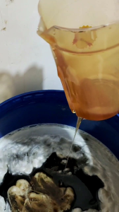 MADU MULTIFLORA 10KG // (FREE MULTIFLORA 100ML)