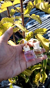 PARFUM MOBIL ANTI MUAL ANTI MABOK PEWANGI RUANGAN PENGHARUM RUANGAN TERMURAH FULL BIBIT
