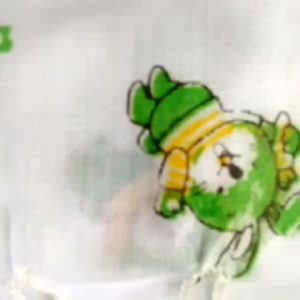 Gurita Tali bayi baru lahir murah