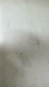 COD PISAU DAGING PISAU SESET BAJA PER MOBIL