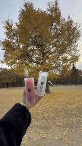 S Lab Pro / Kr Control / 韩国燃脂 / Kr