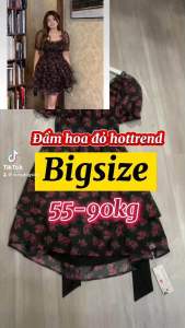 Đầm váy nữ Bigsize dự tiệc dáng xòe hoa nhí buộc nơ eo 55-80kg