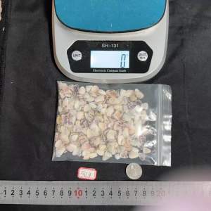 เปลือกหอยขนาดเล็ก 50g ZHI JIA วัสดุหัตถกรรม สำหรับตกแต่งบ้านและแจกันและตกแต่งตู้ปลา 1-3cm