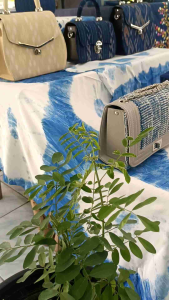 กระเป๋าลายครามไดเถือคือ คุณนาย