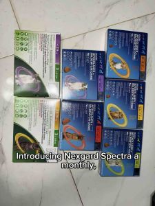 Nexgard Spectra Chewable for Dogs