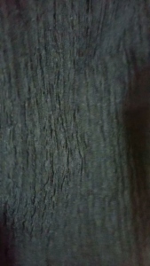 bahan/kain babat kringkel