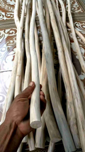 Kayu Jati Kerjinan: Ranting Kayu Jati Untuk Dekorasi Kafe & Hiasan Kayu
