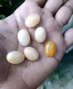 batu akik lepasan MG manigajah india 18x13 mm natural