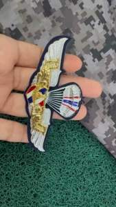 ปีกนักเหินเวหากองทัพอากาศ กิตติมศักดิ์ ปีก ทอ. ปีกร่ม ทอ. ปีกเหินเวหา