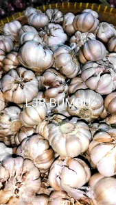 bawang putih 250 gram.
