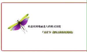 虫儿飞:指尖上的昆虫博物馆(奇想国童书)