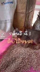 เครื่องสเปรย์น้ำหอมเอนก บำรุงขน ลดกลิ่น กลิ่นเหม็น และกลิ่นกะบะทราย เป็นแอร์ซิกแลนด์ ที่จะปรับอากาศ