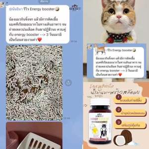 Energy Booster ผลิตภัณฑ์ล้างลำไส้สำหรับสุนัขและแมว - ไม่ต้องผ่าตัด 3 ขั้นตอนการล้างสุดท้าย