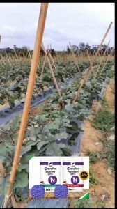 NOVATEC SUPREM/PREMIUM. Sesuai Untuk semua Peringkat bunga Sayur Dan Pokok Buah-Buahan.