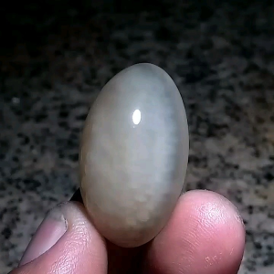 Asli Batu Akik Pandan Semu 33cm SO 05