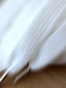 Tali Sepatu Gemuk: Lebih Dari Sekedar Penyambung