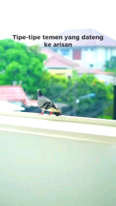 ZELLA Dress By Ninos Design