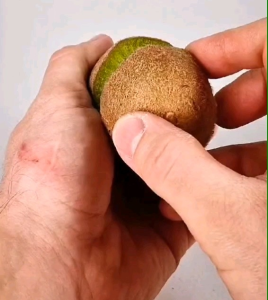 25 BUTIR BIJI | BENIH TANAMAN BUAH KIWI
