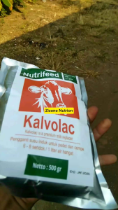 KALVOLAC 1KG SUSU PENGANTI INDUK CEMPEPEDET KALVOLAC BERKUALITAS ORIGINAL