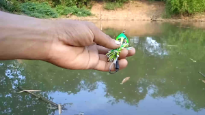 Casting Gabus Jaws Mini 25 cm Upluk Upluk