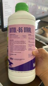 VITOL 86 ORAL (1lít) holland bổ sung ade cho gia súc gia cầm đẻ nhiều đẻ bền sai con Sản Phẩm Dinh Dưỡng Cho Gia Cầm Vitamin Ade Cho Vật Nuôi - Lazada
