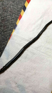 Koleksi besi cacig kanil panjang 17 cm