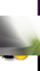 Sanmark Organic Perilla Oil 100ml (Omega-3 60-70%)