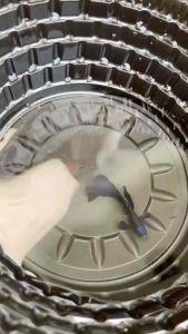 อาหารลูกปลาหางนกยูง มอสโคว์ บลู อายุ 2 เดือน ตัวเต็มวัยจะหางใหญ่ ครีบใหญ่ โดนแสงจะสะท้อนสีน้ำเงิน