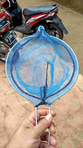 Orok orok alat petik buah mangga matoa jambu manggis kuat tahan lama