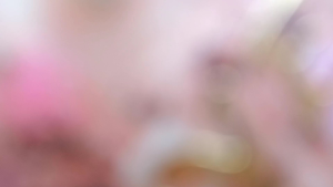 gantungan kunci dan tas cat paw lucu warna terbaru