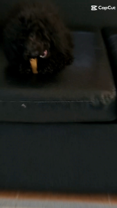 ชีส 70g x 2 140g นมจามรี ธรรมชาติ 100% Chhurpi Dried Cheese (M) (70g. X 2 ) 140g