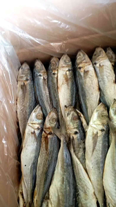 Ikan Asin PEDA LAYANG / CUE / KLOTOK Grosir Murah 1kg