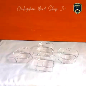 Cepuk Mandi Burung Kecil: Panduan Lengkap