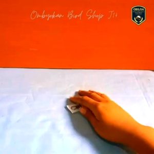 rantai kunci bulat besi pengaman kandang sangkar burung