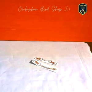 rantai kunci besi pengaman kandang sangkar burung